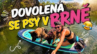 Na paddleboardu se 2 psy? Ztratili jsme se 😂 🐕