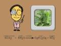 Exploring the Photosynthesis Song