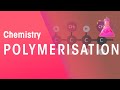 Polymerization and Uses of Polychloroethene and Polypropene