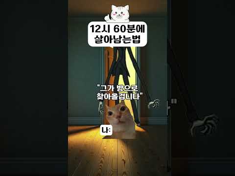 12시 60분 #고양이밈