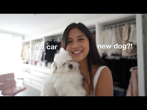 Living alone • adulting q&a, new car, & adopting a dog?!