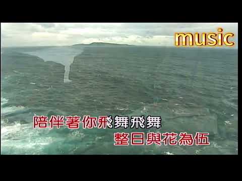 蝴蝶穀KTV 伴奏 no vocal 無人聲 music 純音樂 karaoke 卡拉OK 伴唱蝴蝶穀