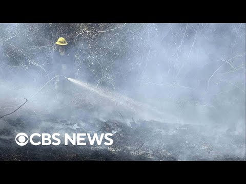 What to know about the wildfires in North and South Carolina