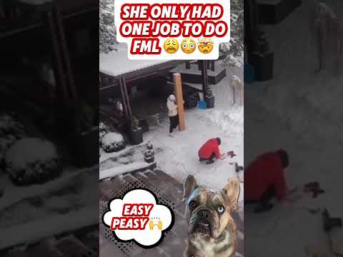 Stunad of The Day‼️When She Only Has 1 Job FML 🤯🤬😤 #reaction #funny #dog #viralshorts