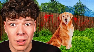 Kümmer Dich NIEMALS um diesen Hund…
