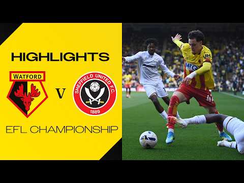 Temps forts du match Watford - Sheffield