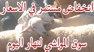 أسعار المواشي في  سوق الإدرسية ولاية  الجلفة يوم الاربعاء 2افريل 2025