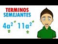 Understanding Like Terms in Algebra