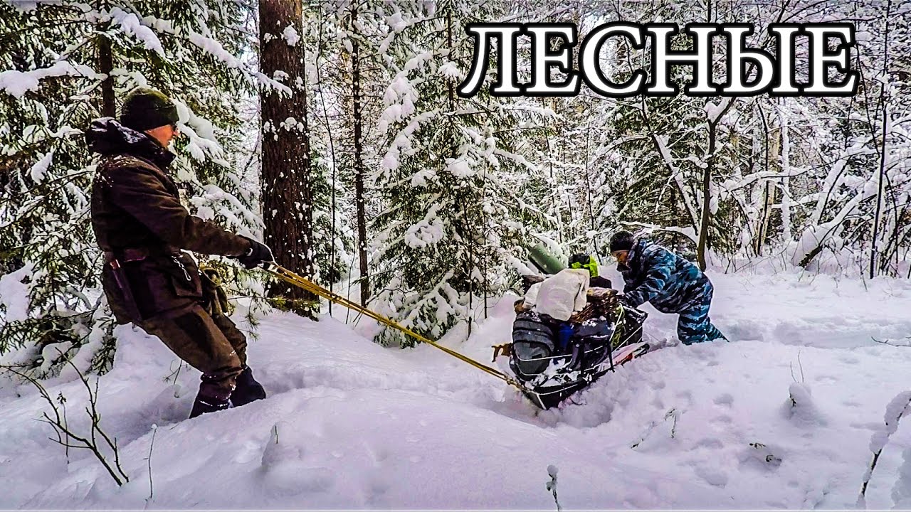 Зимняя палатка лотос и пошехонка начало проекта хроники зимнего леса