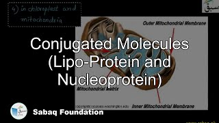 Conjugated Molecules, Lipo-Protein, Nucleo-Protien
