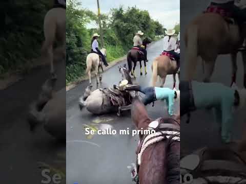 Que Madrazo se dio mi primo