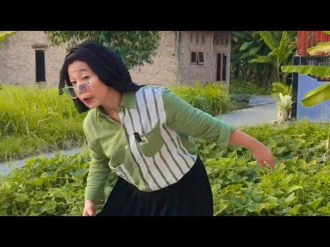 KUMPULAN VIDEO NENEK KOCAK LUCU