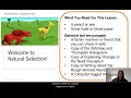 Natural Selection in Newts