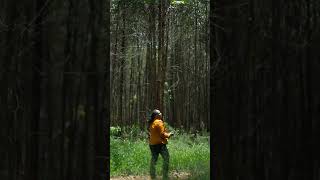 Karen - 10.8 Acres - Vacant Land - KES 702,000,000