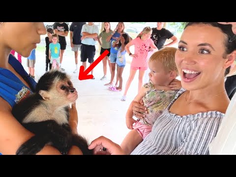 We let our kids pet a monkey and this happened!