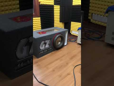 12" GZ Bass boom, track "in the end"