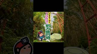 【Shorts】不可思議な通路を越えて 兵庫県下最大・TOP10の前方後円墳へ