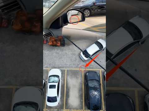 Learn Reverse Parking The Easy Way #carhacks #knowledge #driving #interesting