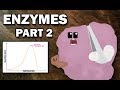 Factors Influencing Enzyme Reaction Rates