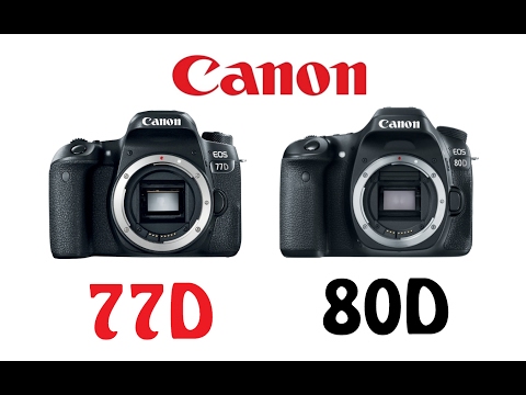 (ENGLISH) Canon EOS 77D vs Canon EOS 80D
