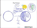 Partitioning Shapes and Fractions