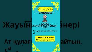 Сары үйсін руының тарихығ қысқаша шежіре және жалпы ру туралы мағлұматтар. #rek