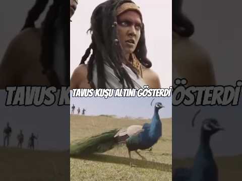 Efsane Gerçek Mi? Tavus Kuşu ve Altın Hazinesi! #thangalaan  #viralvideo #film #shortvideo