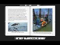 Ecosystem Matter and Food Chains