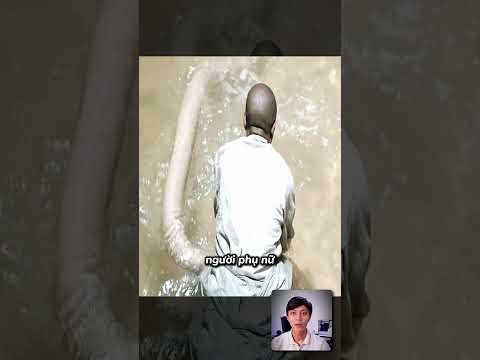 Con trùng khổng lồ siêu độc #reviewphim #tomtatphim #review #diutupphimreview #phimreview
