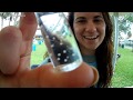 Identifying Fish Eggs and Species