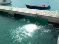 Understanding Aquatic Skills and Feedback