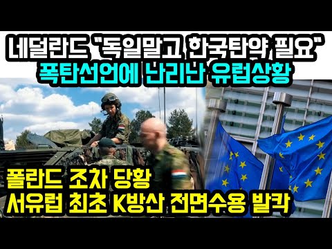 네덜란드 "독일말고 한국탄약 필요" 폭탄선언에 난리난 유럽상황