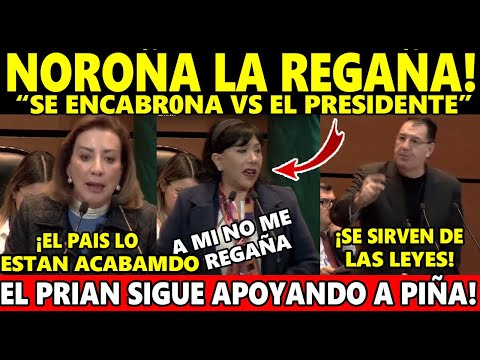 TÓMALA PAPA! ¡NO SEAS HIPÓCRITAS! "Las LEYES LAS HICIEROS PARA SERVIRSE DE ELLAS": SENADOR  de LA 4T