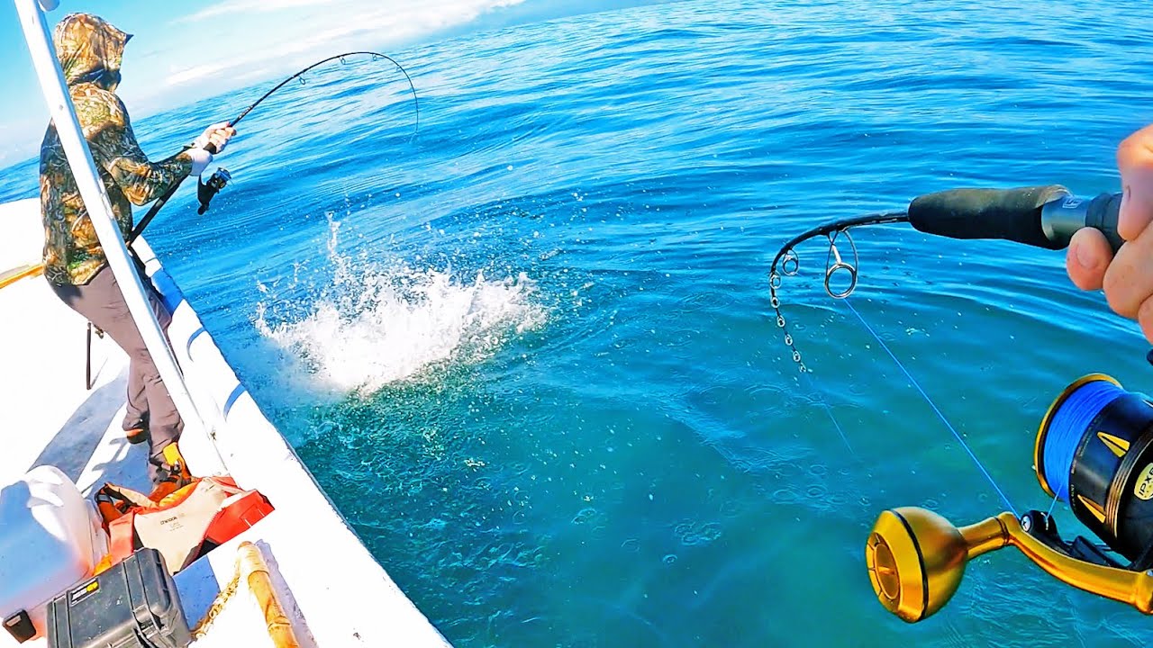 Multi-Species Deep Sea Fishing in a Little Boat (CATCH & COOK)