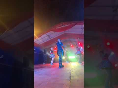 林明輝JORDAN LIM I 雁兒在林梢