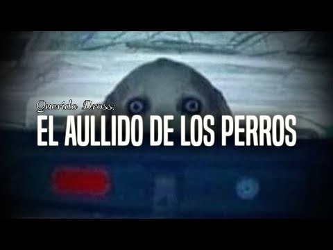 Querido Dross: El aullido de los perros