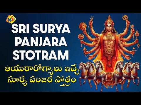 ఆదివారం సూర్య పంజర స్తోత్రం కచ్చితంగా వినండి | Surya Panjara Stotram by Sadwini | TVNXT Devotional