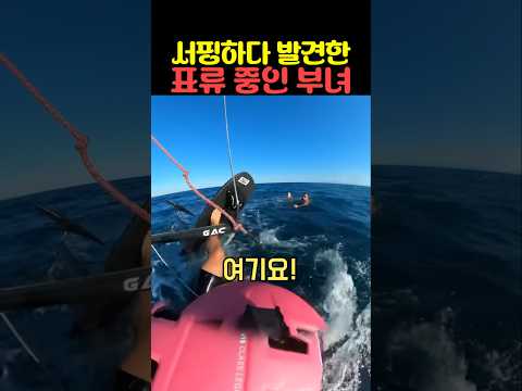 서핑하다 발견한 표류 중인 부녀