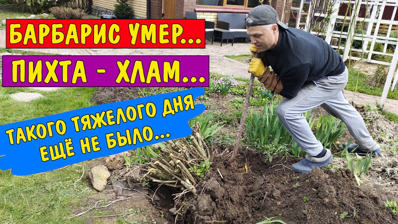 Вот это 1 мая! В жизни так не работали! Теперь надежда только на ЧУДО!