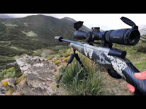Hunting Until I Get a Giant Deer (Success)