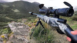 Hunting Until I Get a Giant Deer (Success)