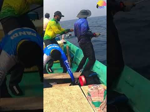 ஆழ்கடல மீன் பிடிக்க🎣🎣 கலங்கரை😲 விளக்கா🤷🏽‍♂️🤷🏽‍♂️