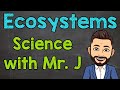 Ecosystem Dynamics and Energy Flow