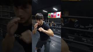 Асхаб Магомадов мс проф боец👊#чечня #boxing #sports #ring #shorts #спорт #бокс
