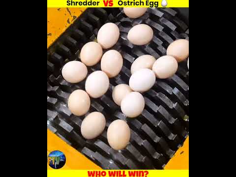 Shredder Vs Ostrich Egg 🥚  #shorts #whatif #uniqueexperiement #मजेदारविडियो