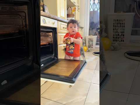 Ты не ты когда голоден 😂