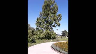 Botanischer Garten Rostock