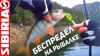 видео