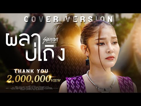 ผลาบ่เถิง - สายแนน โพธิ์งาม [ COVER VERSION ]