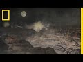 Origins of Earth and Asteroids